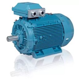ABB 3 Phase 25 HP 2 Pole Foot Mounted Flame Proof Induction Motor JHX160MLE2-picture-28