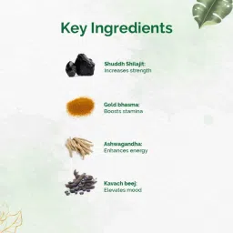 Dr. Vaidya's Shilajit Gold image 4