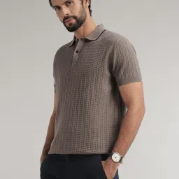 Andamen Brown Cotton Regular Texture Polo T-Shirt image 3