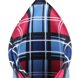 Alvaro Castagnino Men Red And Blue Checked Pocket Square image 3