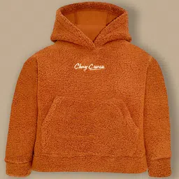 Cherry Crumble By Nitt Hyman Solid Fur Detailed Hooded Sweatshirt - Brown-picture-11