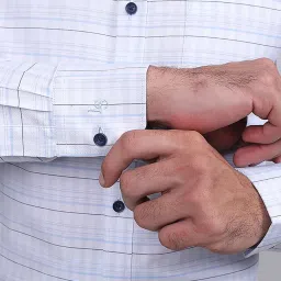 Louis Stitch Blue Cotton Regular Fit Striped Shirt image 3