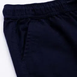 Allen Solly Kids Navy Regular Fit Shorts image 5