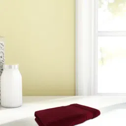 Spaces Econova Dark Red 550 GSM Cotton Hand Towel - Set of 2-picture-21