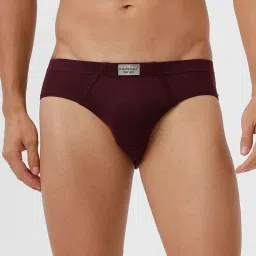 Ramraj Multicolor Solid Briefs (Pack of 4) image 3