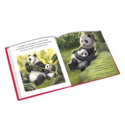 parragon Baby Panda's Adventure | A True-to-Life Story From the Natural World | Story Book | Board Book for Kids image 3