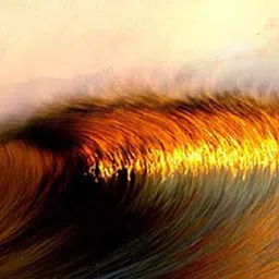 British Terminal Blue & Orange Paper Wall Poster image 2