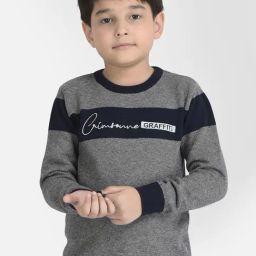 Crimsoune Club Kids Grey Self Design Full Sleeves Sweater-picture-11