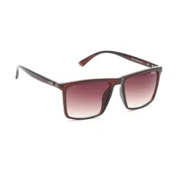 Irus Brown Rectangular Sunglasses For Men image 3