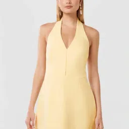 Forever New Spring Daffodil Flare Fit Dress-picture-37