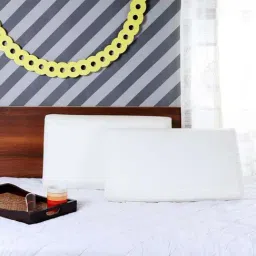 MFD HOME Furnishing Esper Premium Cotton White Soft Pillow - Set of 1-image-57