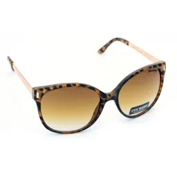STEVE MADDEN Brown Round UV Protection Sunglasses for Women image 3