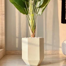 Mason Home Ivory Busa Hexagonal Planter image 3