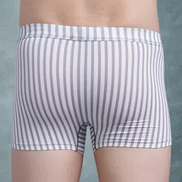 The Roadster Lifestyle Co Pack Of 2Striped Stretchable Trunk -PACK-2-RTI-PV-Print-R2-S image 4