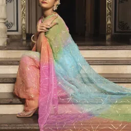 Calmna Multi-Color Multisky Gotapatti Pure Chiffon Saree image 3
