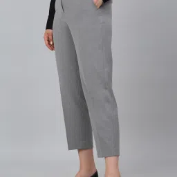 Cantabil Grey Regular Fit Mid Rise Trousers image 3