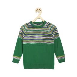 Allen Solly Junior Green Printed Sweater-picture-46