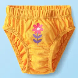 Babyhug 100% Cotton Antibacterial Panties With Heart & Floral Print Pack Of 3 - Dark Pink Yellow & White image 4