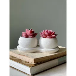 Mason Home Artificial Pink Twin Succulent (Pack of 2)-image-25