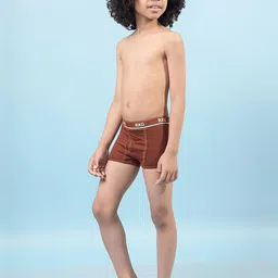 RKG Boys Pack Of 3 Assorted Short Trunks image 4