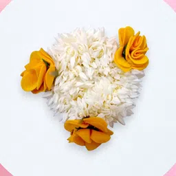 Hair Flare Women Hair Accessory Set of-picture-34