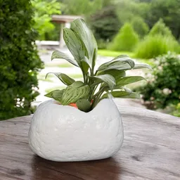 GARDEN'S NEED White Textured Planters image 3