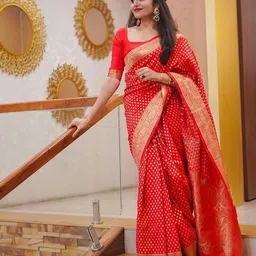 KALINI Woven Design Banarasi Saree image 2