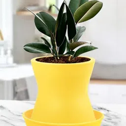LASAKI Yellow Ceramic Planter With Plate-picture-11