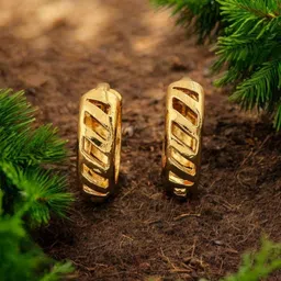 SHREE KRISHNA SHOPPING Gold-Plated Brass Earrings-picture-34