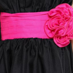 Pink Chick Colourblocked Fit & Flare Dress-picture-18