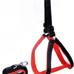 golden Dog Harness & Leash-picture-18
