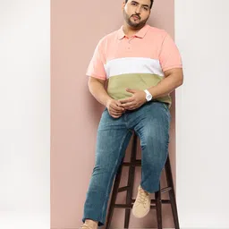 Sztori Plus Size  Colourblocked Polo Collar Pure Cotton T-shirt image 5