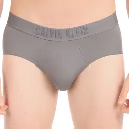 Calvin Klein Grey Sky Regular Fit Logo Printed Briefs-image-41