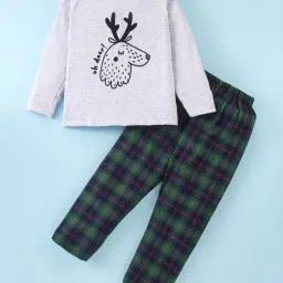 Nite Flite Boys Grey Cotton Printed Night Suits-picture-31