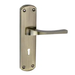 Tasa Cylindrical Mortise Handle Stainless Steel Finish 254 mm (10 Inch), MH-508-picture-36