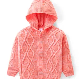 Babyhug Knit Full Sleeves Front Open Hooded Sweater with Cable Knit Design - Orange-picture-38
