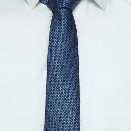 Allen Solly Blue Embroidered Formal Tie image 4