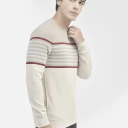 Crimsoune Club Beige Regular Fit Striped Sweatshirt image 4