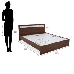 Nilkamal Akin King Bed without Storage (Walnut) image 4
