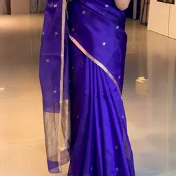 TheWonderWorld Women Embellished Zari Saree-picture-10