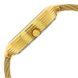 Titan NR2532YM01 Raga Garden of Eden Analog Watch for Women image 4