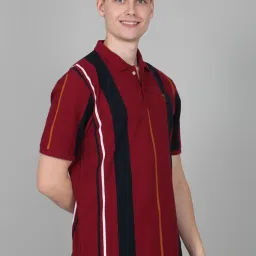 Cantabil Red Regular Fit Striped Polo T-Shirt image 4