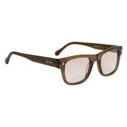 Ted Smith Brown UV Protection Wayfarer Unisex Sunglasses image 3