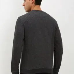 Allen Solly Grey Cotton Regular Fit Sweatshirt image 2