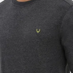 Allen Solly Grey Cotton Regular Fit Sweatshirt image 4