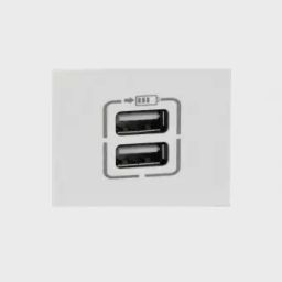 Legrand Britzy Double USB charger 2 Module 2000mA 6734 35-picture-18