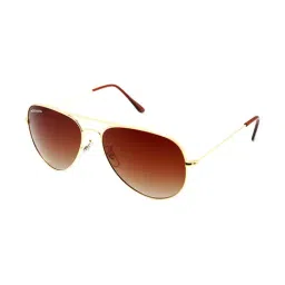 Micelo Martin Brown Polarized Aviator Unisex Sunglasses-image-22