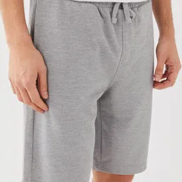 LC Waikiki Men Regular Fit Shorts image 2