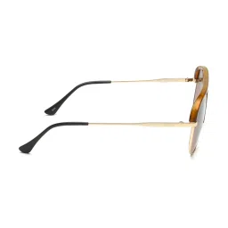 IDEE Brown Aviator UV Protection Sunglasses for Men image 4