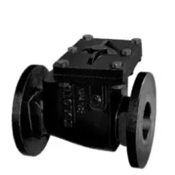 Zoloto 50 mm PN1.6 Cast Iron Flanged Ends Non Return Valve 1083C-picture-18